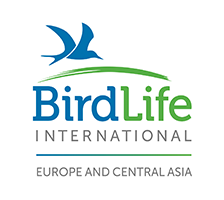 BirdLife